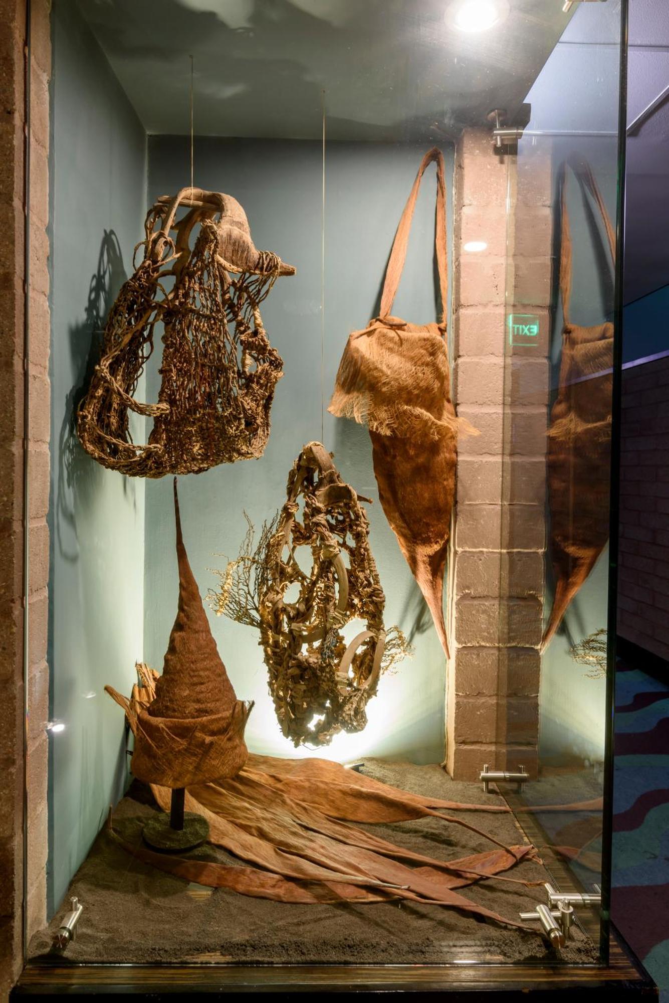 Diez Hotel Categoria Colombia Медельин Экстерьер фото Fossil of the Late Cretaceous spinosaurid dinosaur Delphinapterus