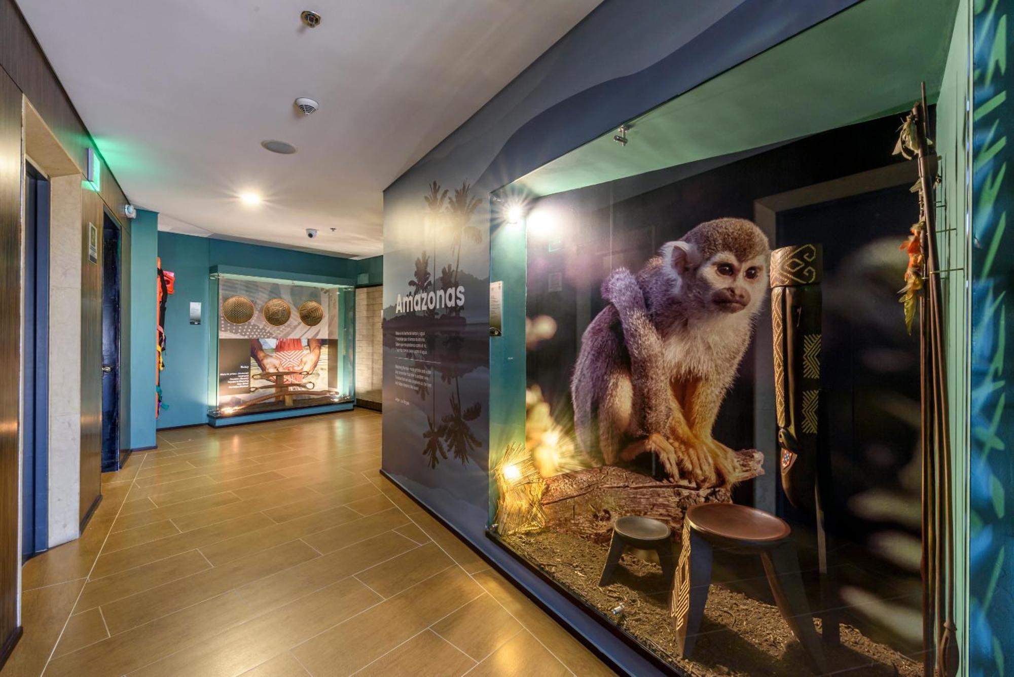 Diez Hotel Categoria Colombia Медельин Экстерьер фото The Primate House